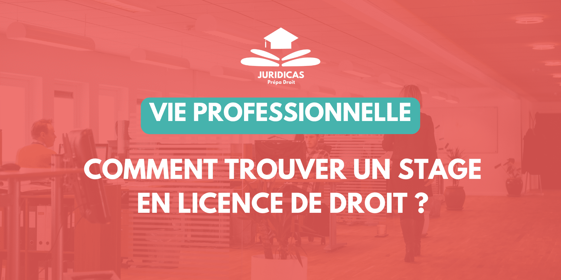 Trouver un Stage en licence de droit