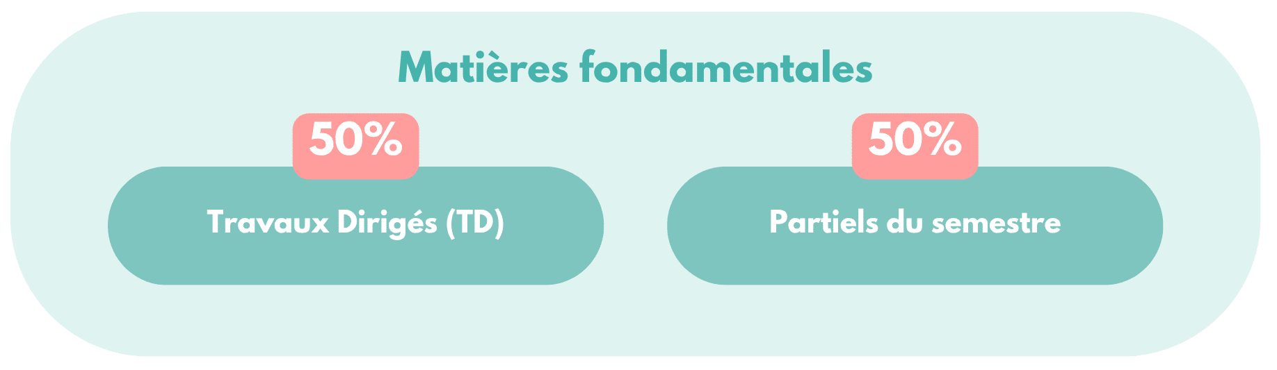 Modalités examens faculté