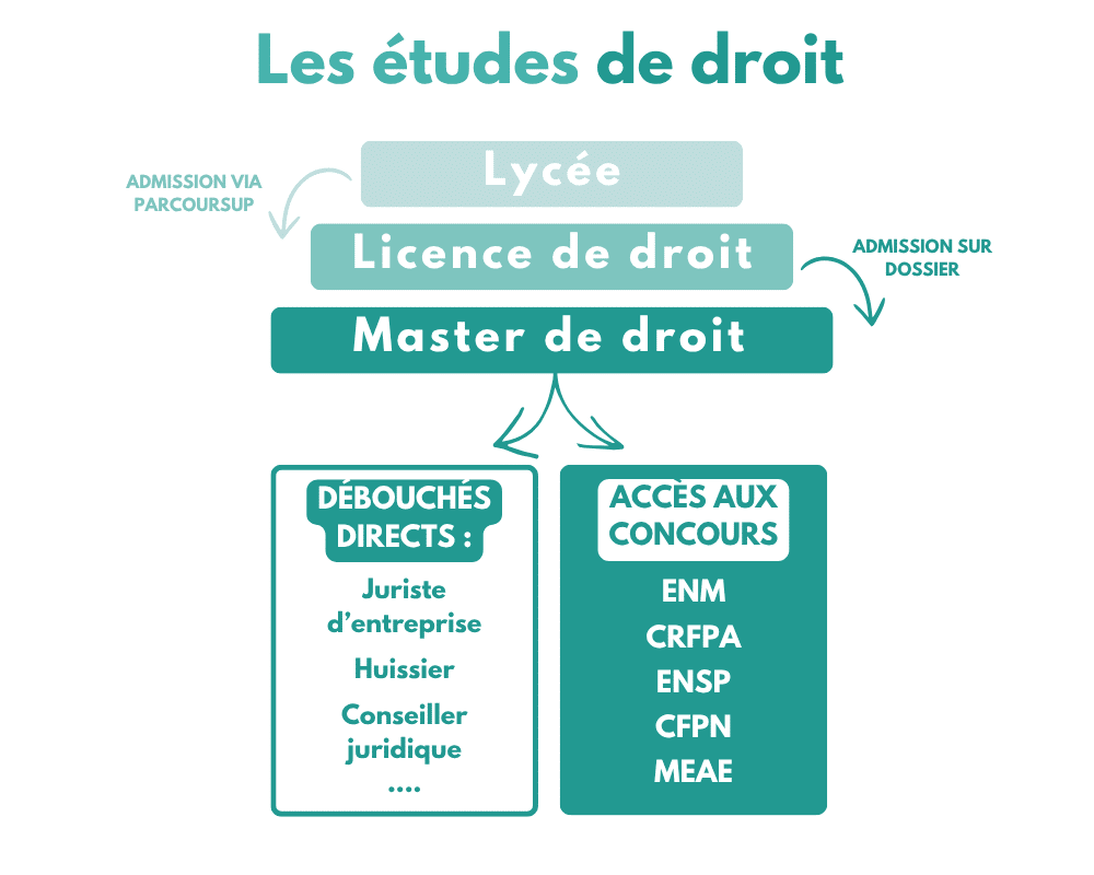 Débouchés des études de droit